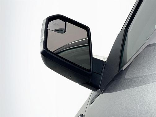 Magnetic 2018 Ford F-150 XL