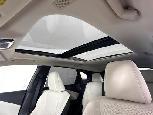 2025 Lexus RX 350h Luxury