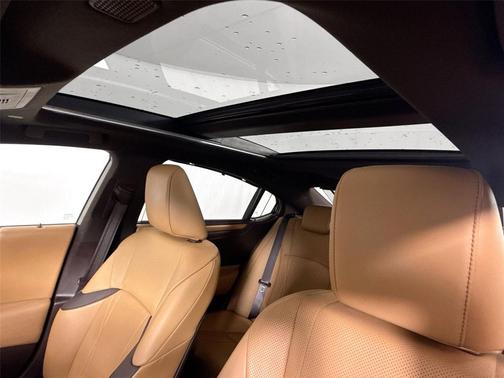 2019 Lexus ES 350 Ultra Luxury