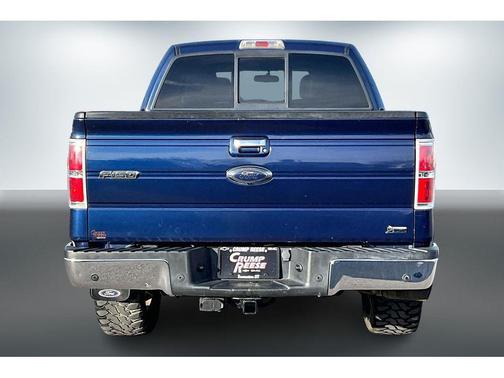 2010 Ford F-150 Platinum