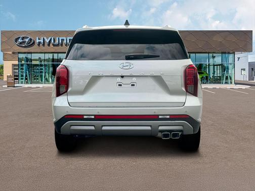 Typhoon Silver 2025 Hyundai PALISADE SEL