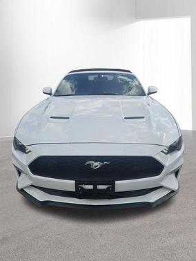 Oxford White 2019 Ford Mustang EcoBoost Premium