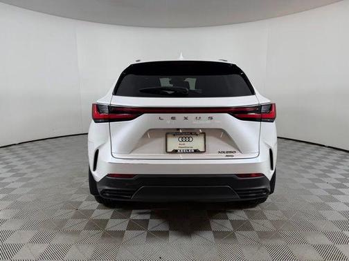 White Pearl 2023 Lexus NX 250 Base