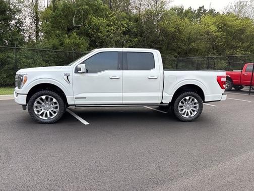 2023 Ford F-150 LIMITED