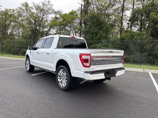 2023 Ford F-150 LIMITED
