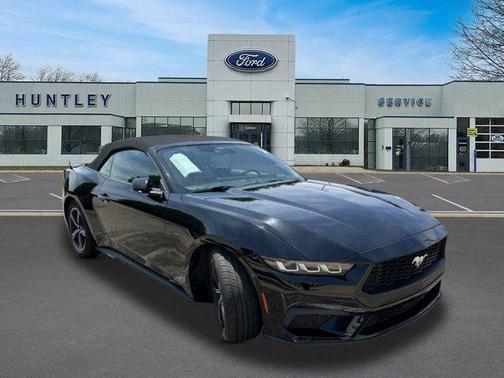 Shadow Black 2024 Ford Mustang EcoBoost Premium