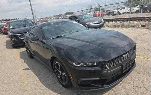 Shadow Black 2024 Ford Mustang EcoBoost