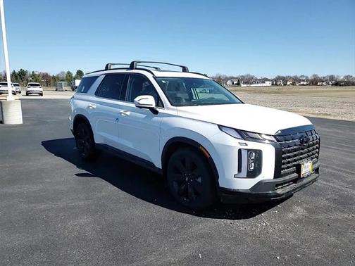 2025 Hyundai PALISADE XRT