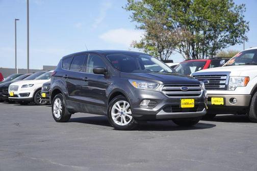 Magnetic 2019 Ford Escape SE