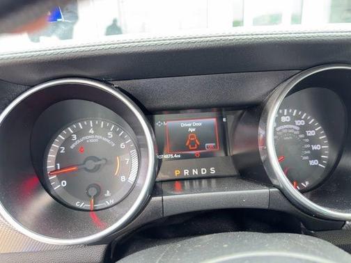 Blue Metallic 2019 Ford Mustang EcoBoost