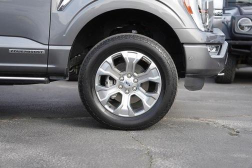 2023 Ford F-150 Platinum