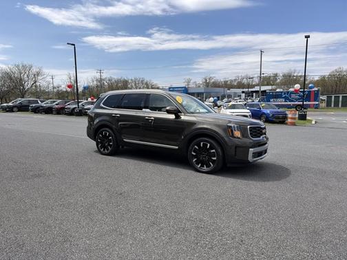Dark Moss 2024 Kia Telluride SX Prestige