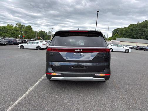 Panthera Metal 2024 Kia Carnival EX