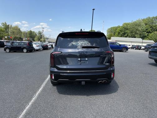 Panthera Metal 2025 Kia Telluride SX X-Line