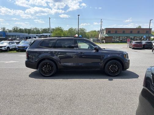 Panthera Metal 2025 Kia Telluride SX X-Line