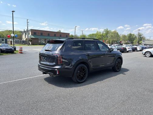 Panthera Metal 2025 Kia Telluride SX X-Line