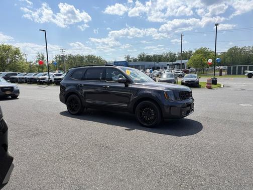Panthera Metal 2025 Kia Telluride SX X-Line