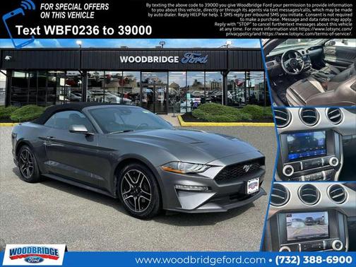 2023 Ford Mustang EcoBoost