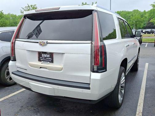 2019 Cadillac Escalade Platinum Edition