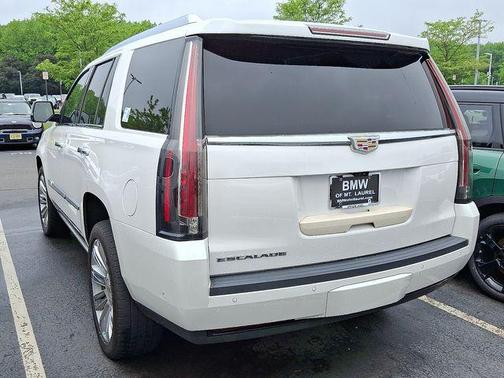 2019 Cadillac Escalade Platinum Edition