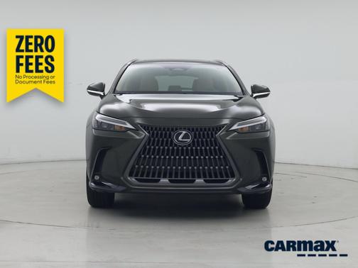 Green 2024 Lexus NX 250 Premium