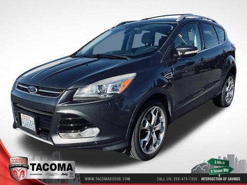Magnetic 2015 Ford Escape Titanium