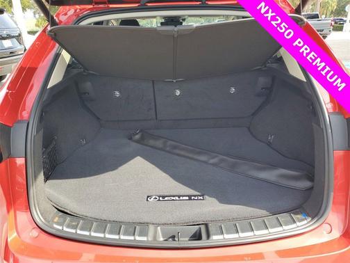 2025 Lexus NX 250 Premium