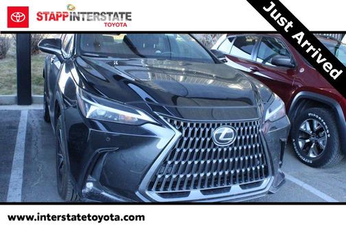 2025 Lexus NX 250 Base
