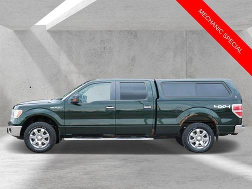 Green 2013 Ford F-150 XLT