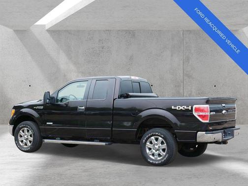 Brown Metallic 2013 Ford F-150 XLT
