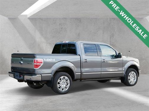 2013 Ford F-150 Platinum