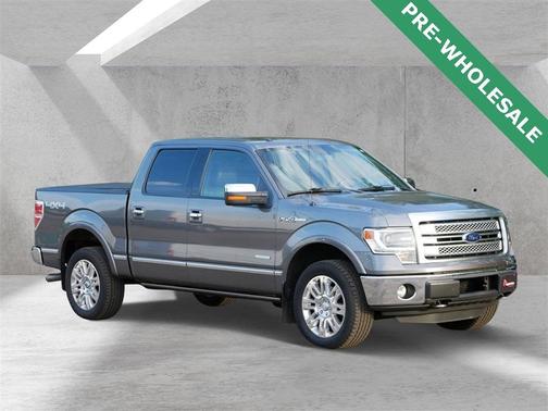 2013 Ford F-150 Platinum
