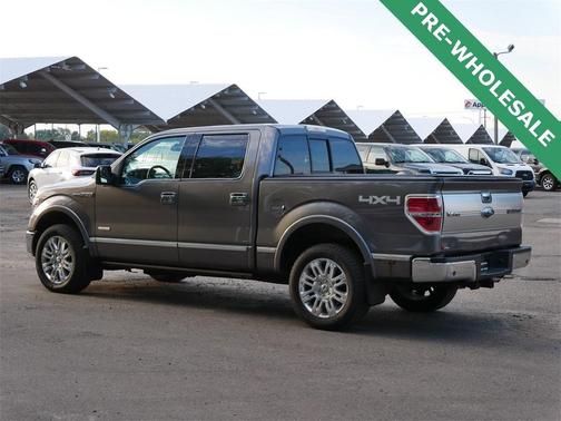 2013 Ford F-150 Platinum