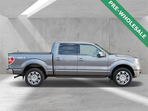 2013 Ford F-150 Platinum