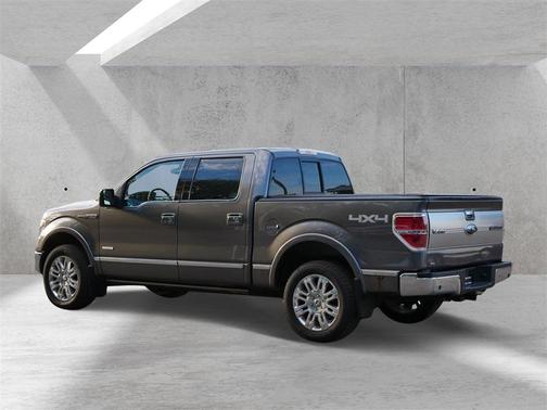2013 Ford F-150 Platinum