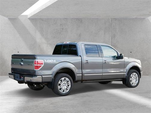 2013 Ford F-150 Platinum