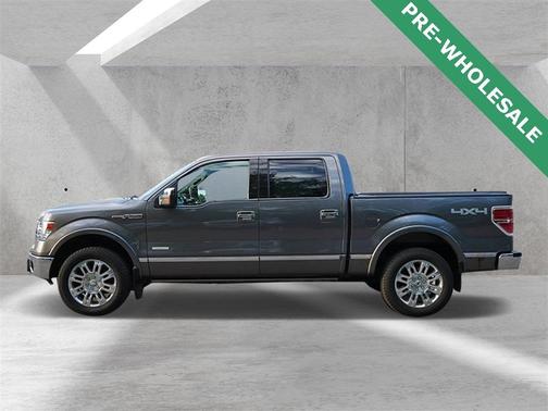 2013 Ford F-150 Platinum