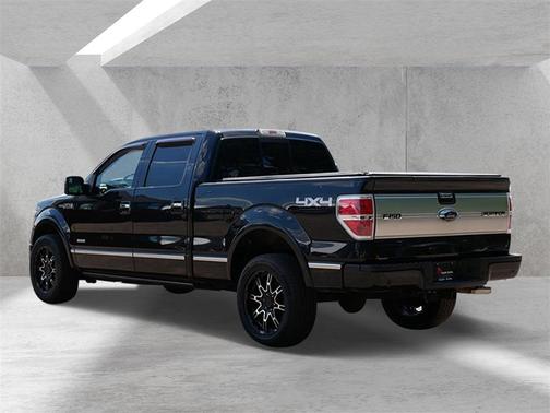 2014 Ford F-150 Platinum