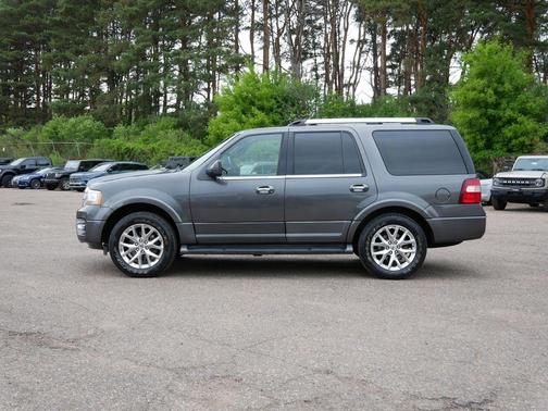 Magnetic 2017 Ford Expedition Limited