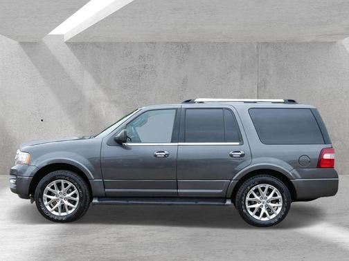 Magnetic 2017 Ford Expedition Limited