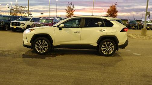 2019 Toyota RAV4 Limited