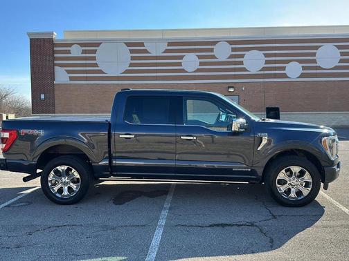 2021 Ford F-150 Platinum