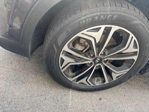 Rainforest 2019 Hyundai SANTA FE Limited 2.0T