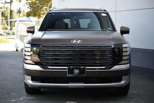 Earthy Brass Matte 2026 Hyundai PALISADE Calligraphy