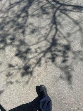 Super Black 2014 Nissan Murano SL