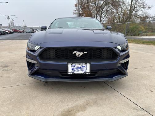 2019 Ford Mustang EcoBoost