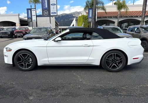 2019 Ford Mustang EcoBoost Premium
