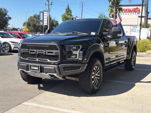Agate Black Metallic 2019 Ford F-150 Raptor