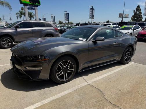 Magnetic 2018 Ford Mustang EcoBoost Premium