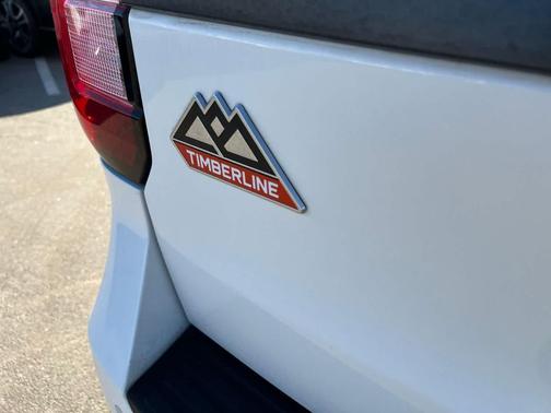 2022 Ford Expedition Timberline